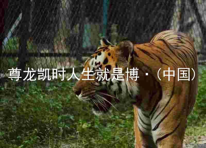 尊龙凯时人生就是博·(中国)