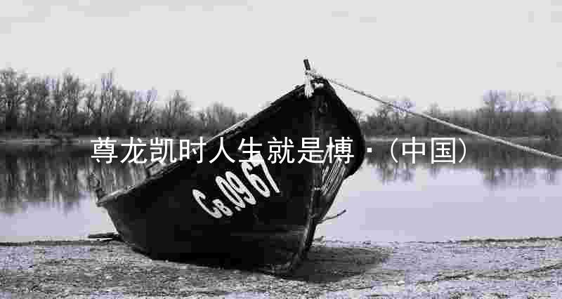 尊龙凯时人生就是博·(中国)