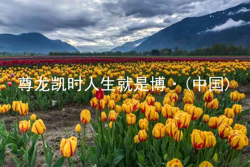 尊龙凯时人生就是博·(中国)